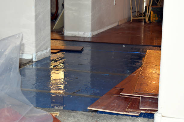 Professional Burst Pipe Water Damage technician working in Searsport, ME